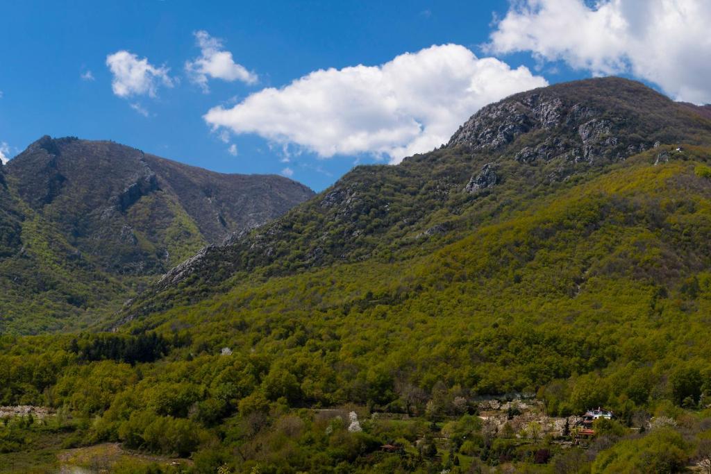Militsa Guesthouse Naousa  Eksteriør bilde