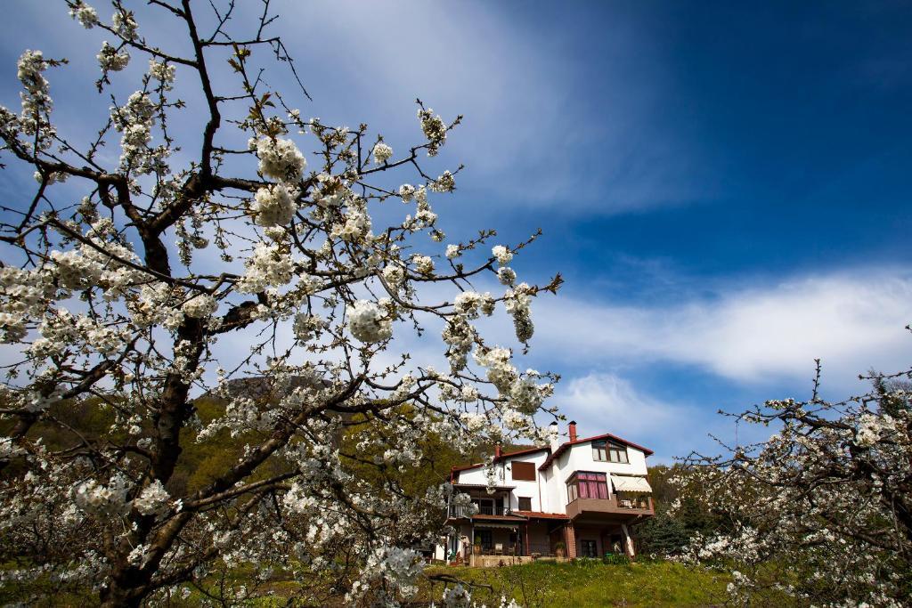 Militsa Guesthouse Naousa  Eksteriør bilde